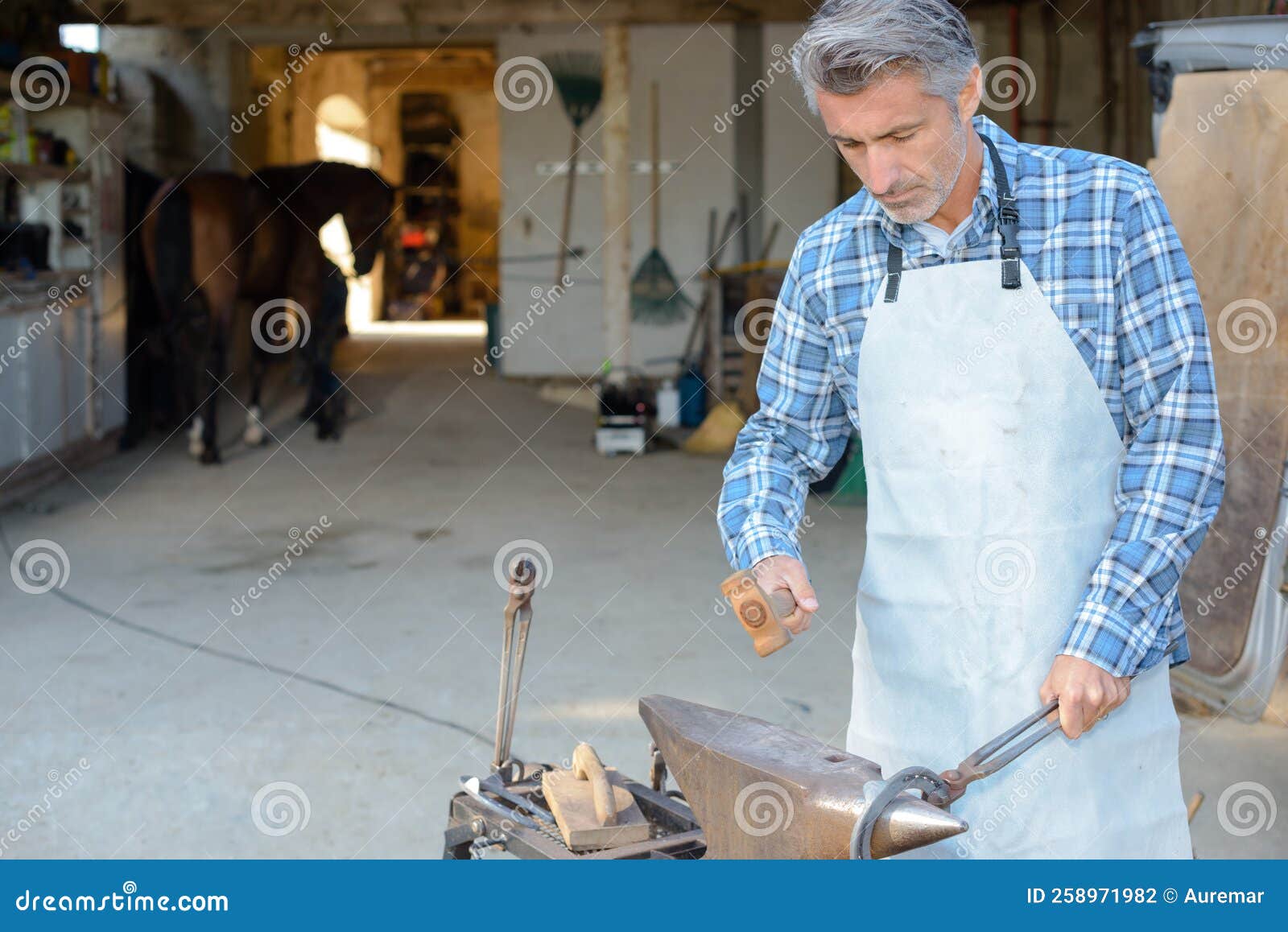 Farrier making horseshoe stock photo. Image of skill 258971982