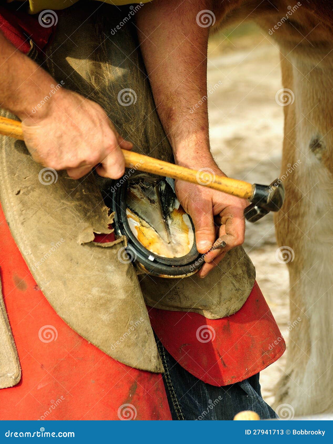 The Farrier, Nailing The Shoe Stock Photos Image 27941713