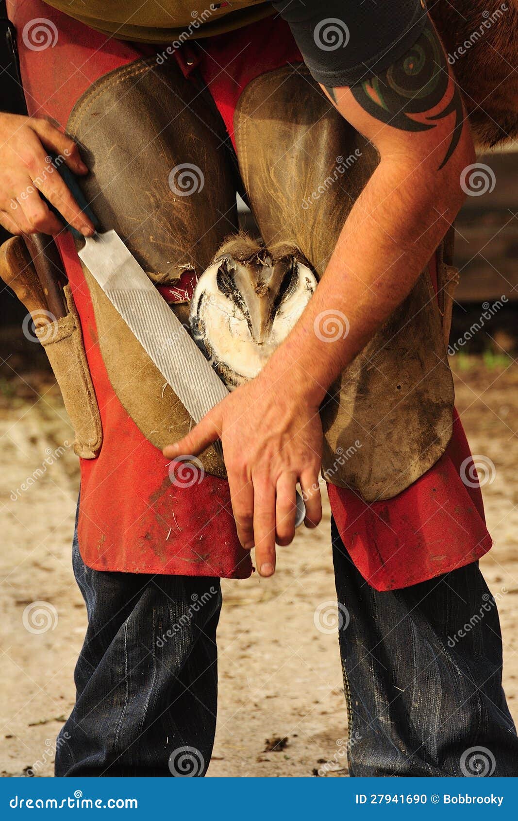 The Farrier, Rasping The Hoof Stock Photo - Image: 27941690