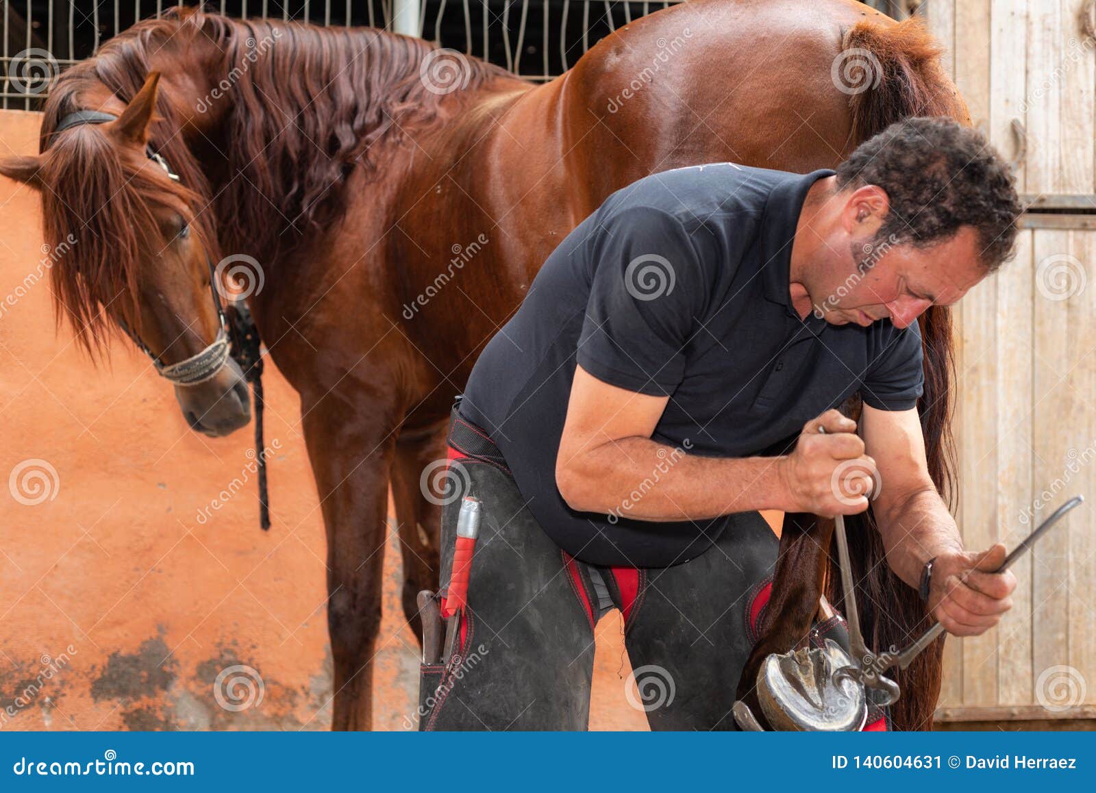 6,149 Farrier Photos Free & RoyaltyFree Stock Photos from Dreamstime