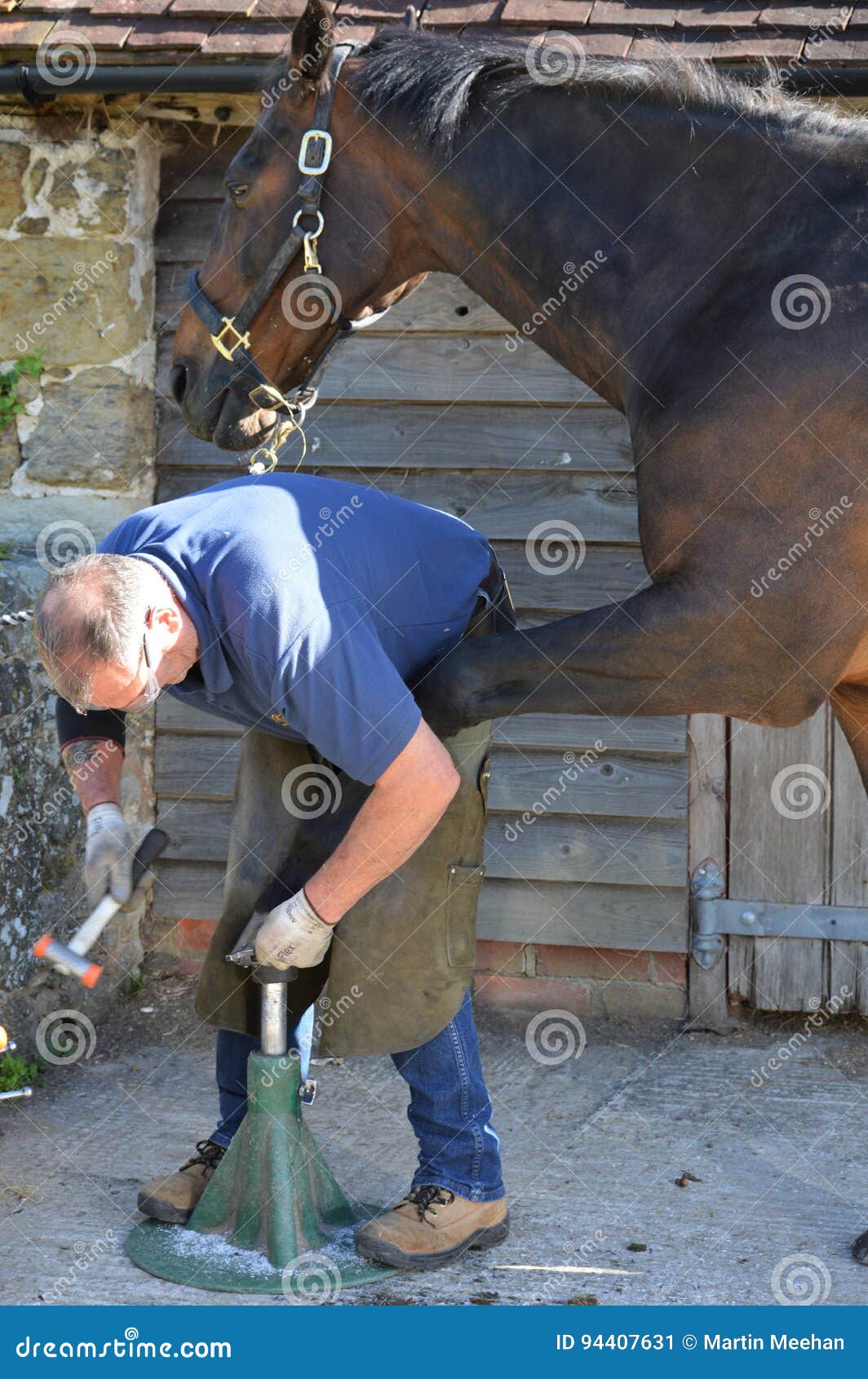 Farrier Working on a Horse. Editorial Photo Image of hooves, animal 94407631