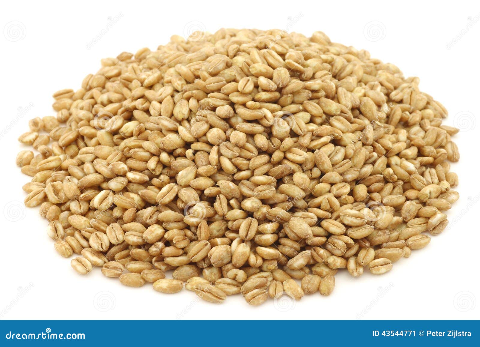 Farro grain stock image. Image of spelt, healthy, italian 43544771