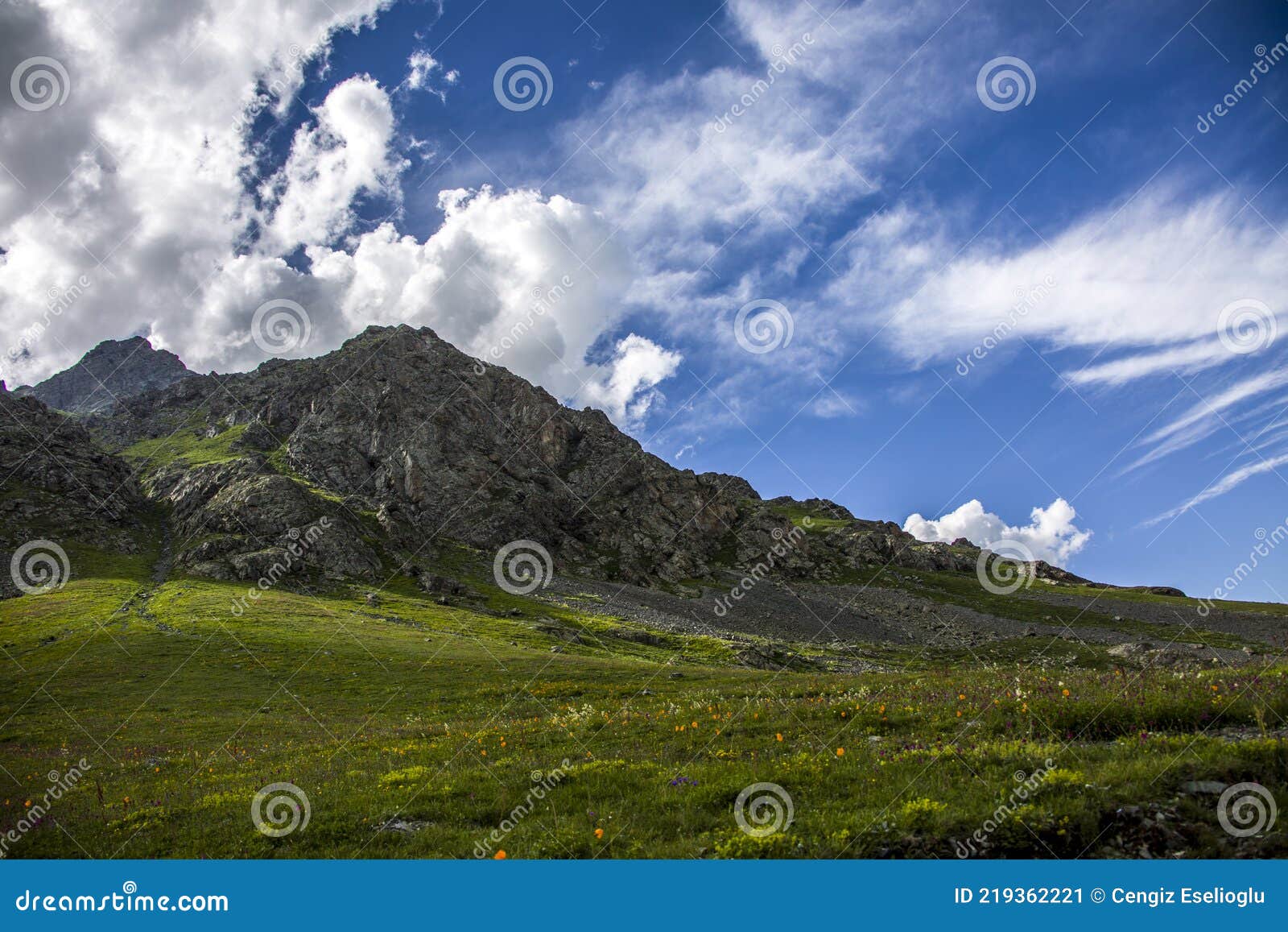 A Fascinating View of a Flowering Valley Under the Blue Sky Stock Image ...