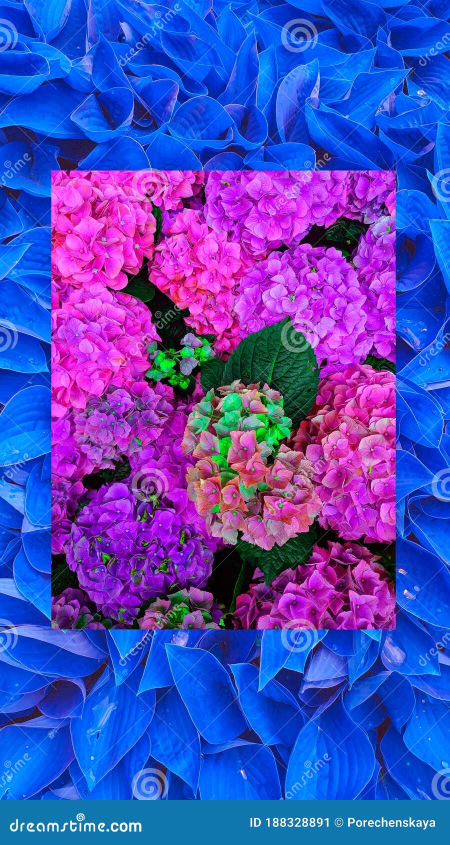 Fashion Aesthetic Wallpaper Phone Blue Flowers Bloom Background Spring Summer Mood Stock Image Image Of Wallpaper Summer 181