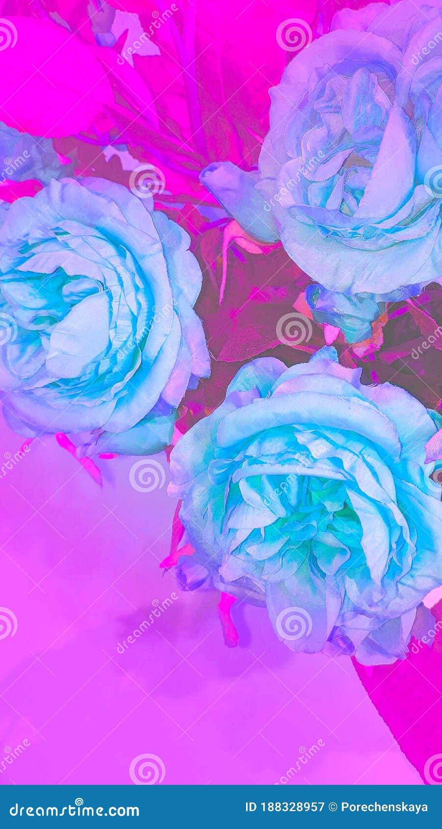 Hình nền hoa hồng neon tạo nên một không gian sống động, đầy sức sống và rực rỡ. Bạn sẽ không muốn bỏ lỡ cơ hội để chiêm ngưỡng những bông hoa này sáng chói trên nền neon tuyệt đẹp.
