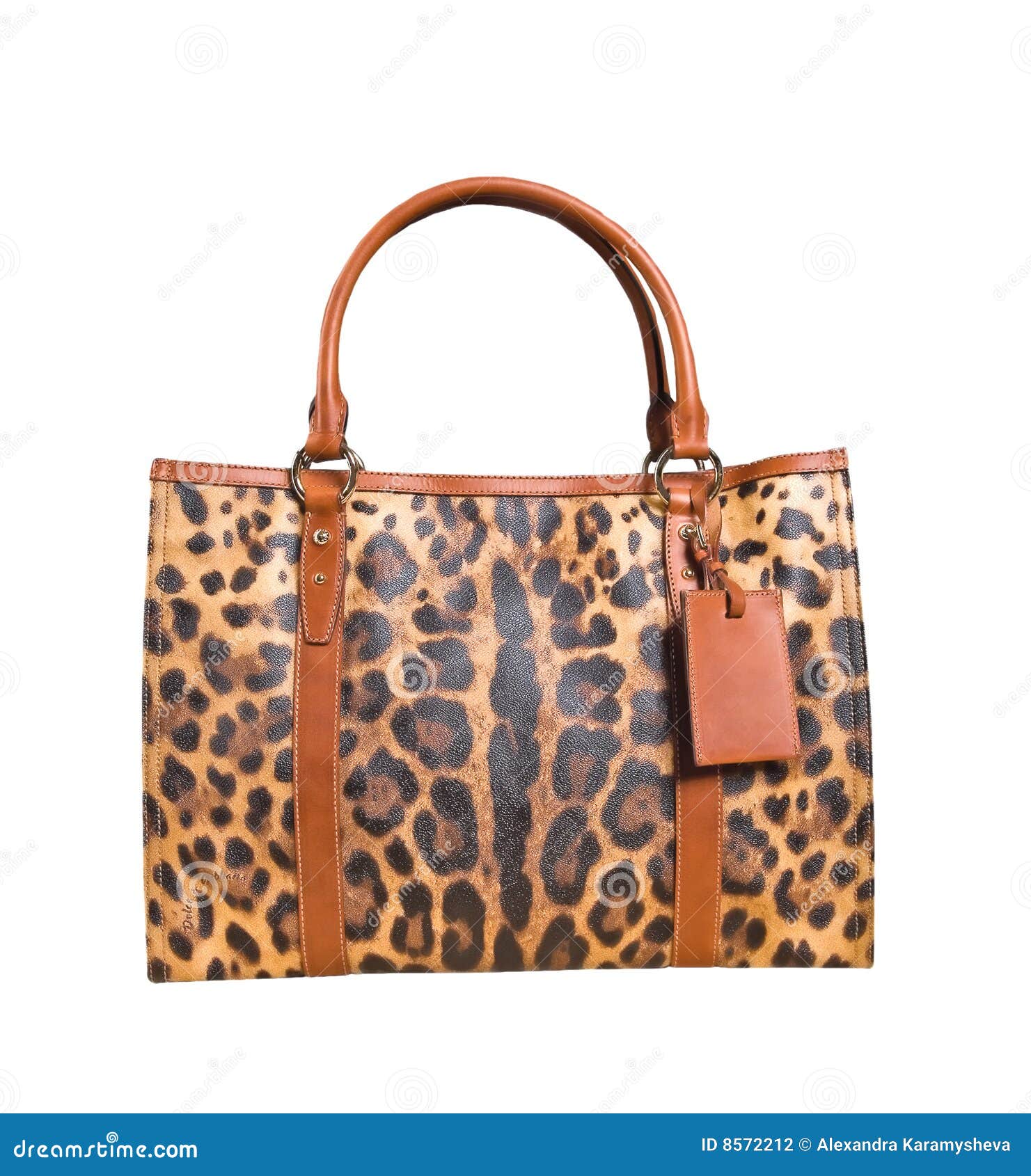 Fashion bag stock photo. Image of wear, comfort, leather 8572212