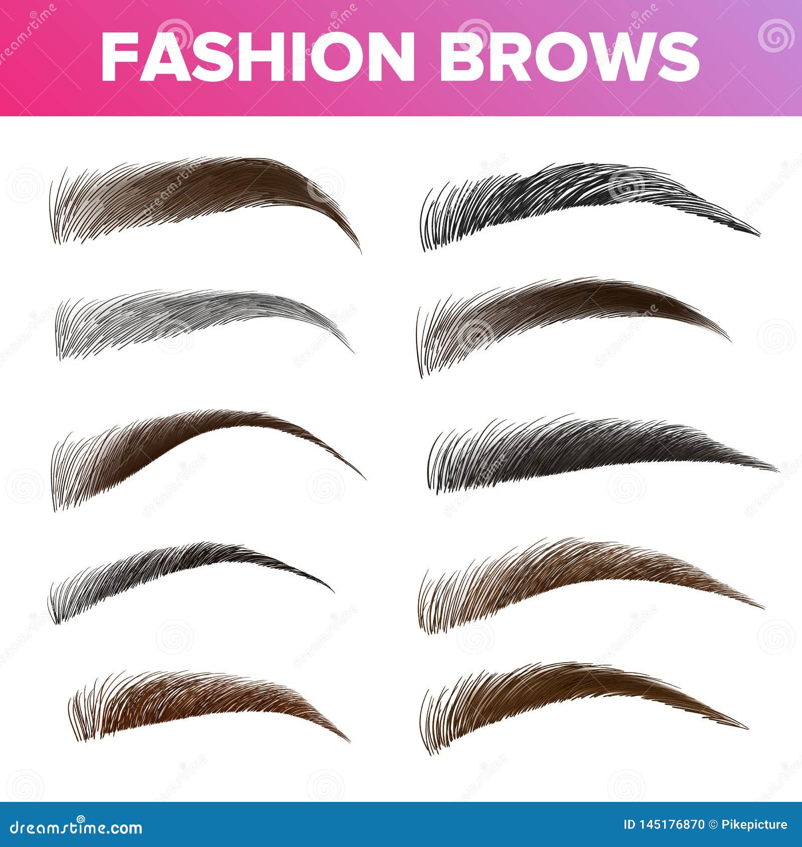 fashion brows various s and types  set