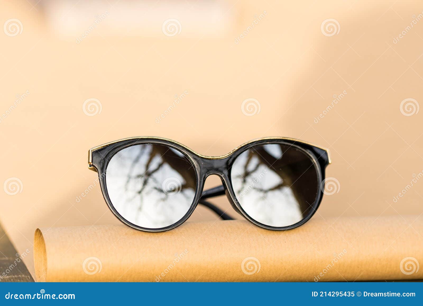 Women Sunglasses Round Vintage Fashion Designer Thick Frame Female Shades  2023 | eBay