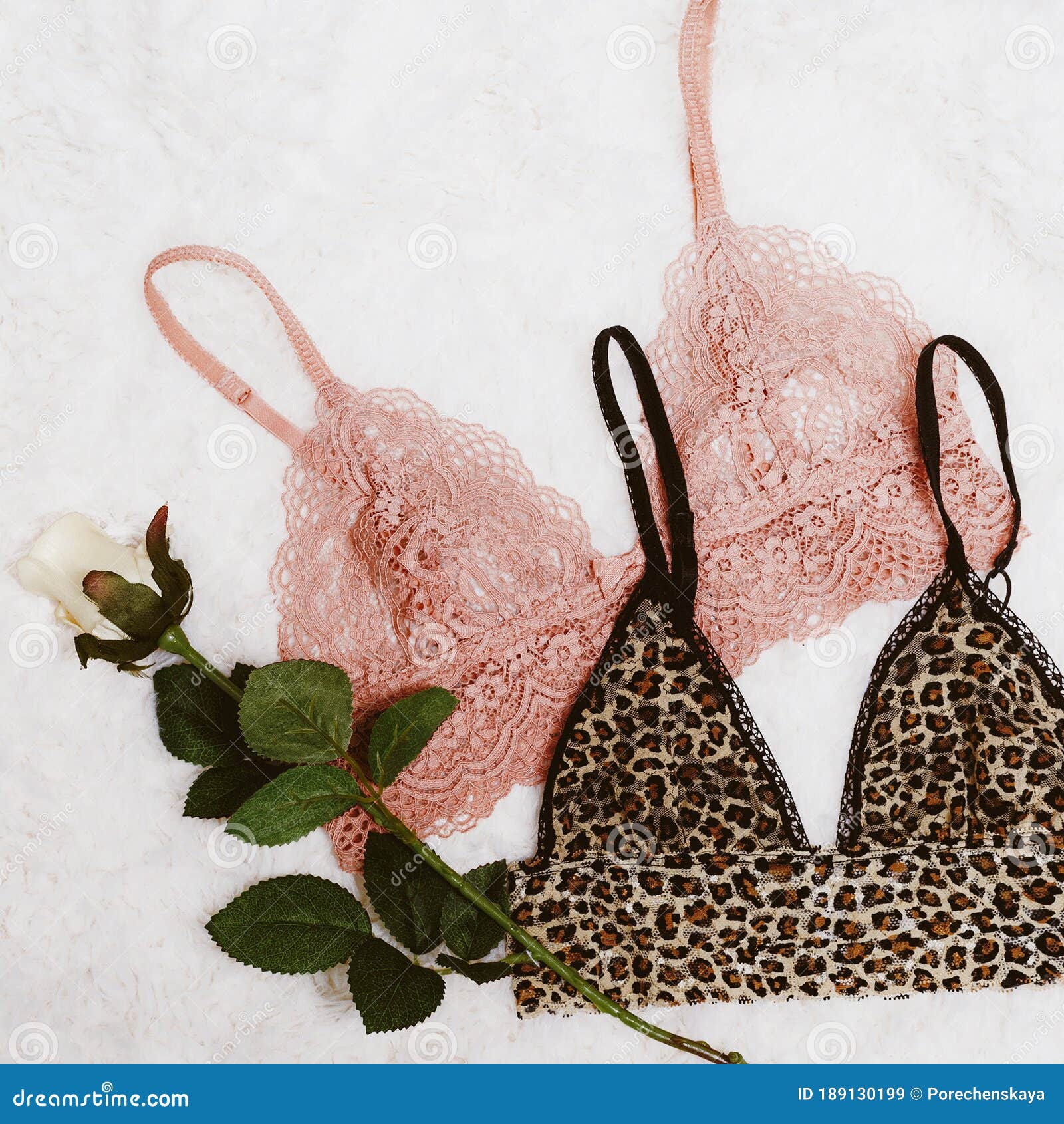 Fashion Concept. Trend Lingerie. Fashion Underwear. Pink Bra and Leopard Bra.  Be Different Stock Image - Image of feminine, cotton: 189130199