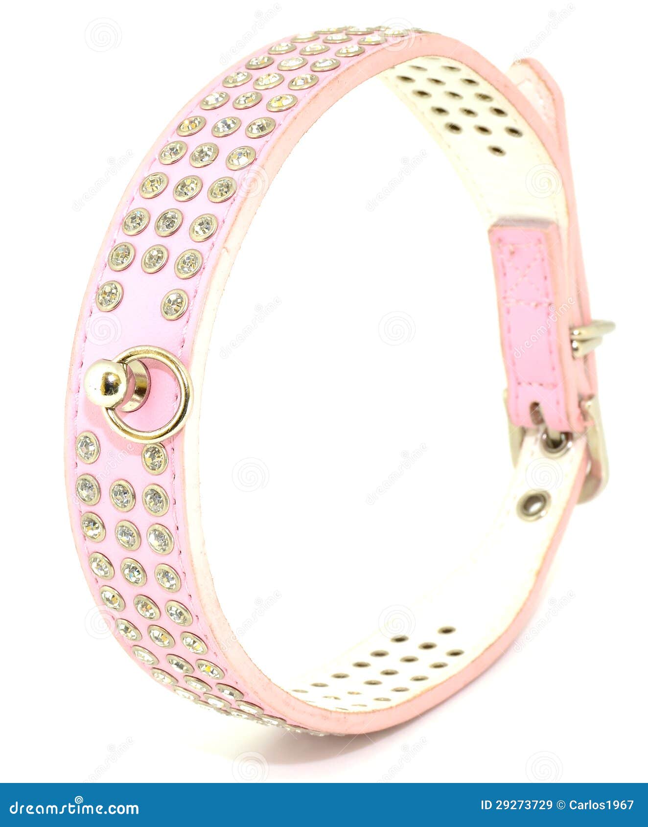 Fashion Diamonds Collar Dog Stock Image Image of dress, buckle 29273729