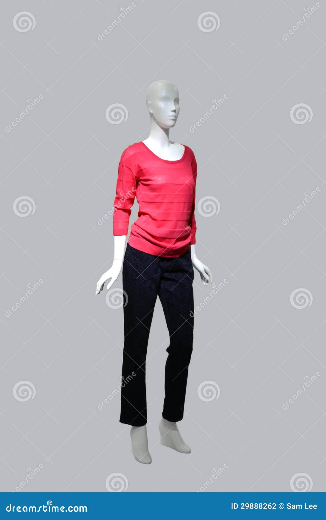 Fashion Dummy Stock Photography Image 29888262