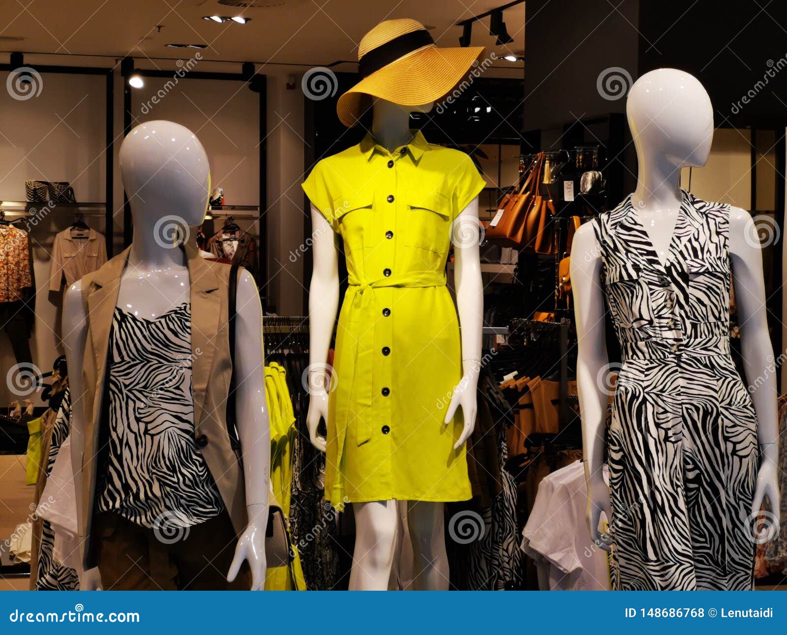 Fashion Dummy - Seasonal Clothing for Women. Stock Photo - Image of ...