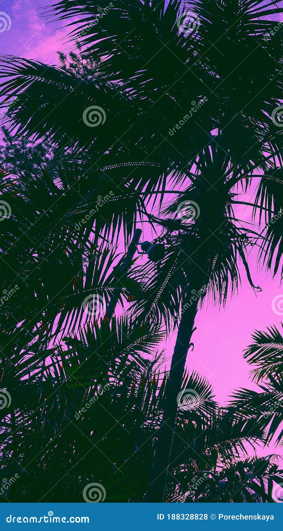 Aesthetic vibes  Wallpapers yall   Facebook