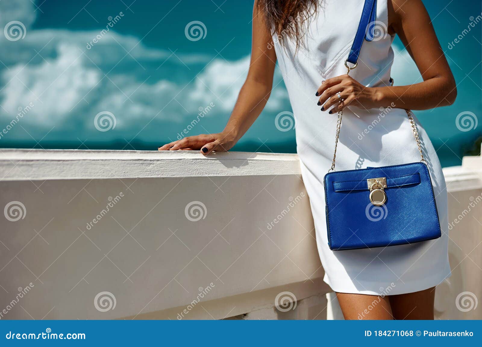 Fashion Luxury Portrait of Chic Woman with Bag Stock Photo - Image of ...