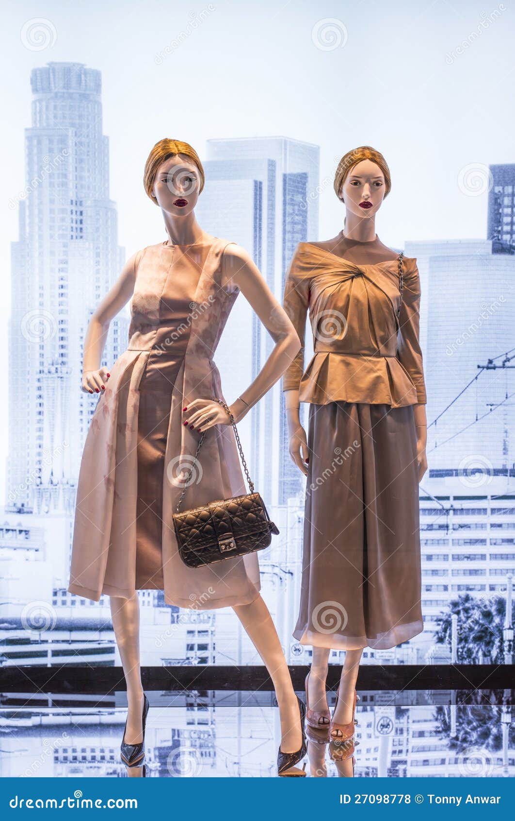 Fashion Mannequin stock photo. Image of apparel, clothing 27098778