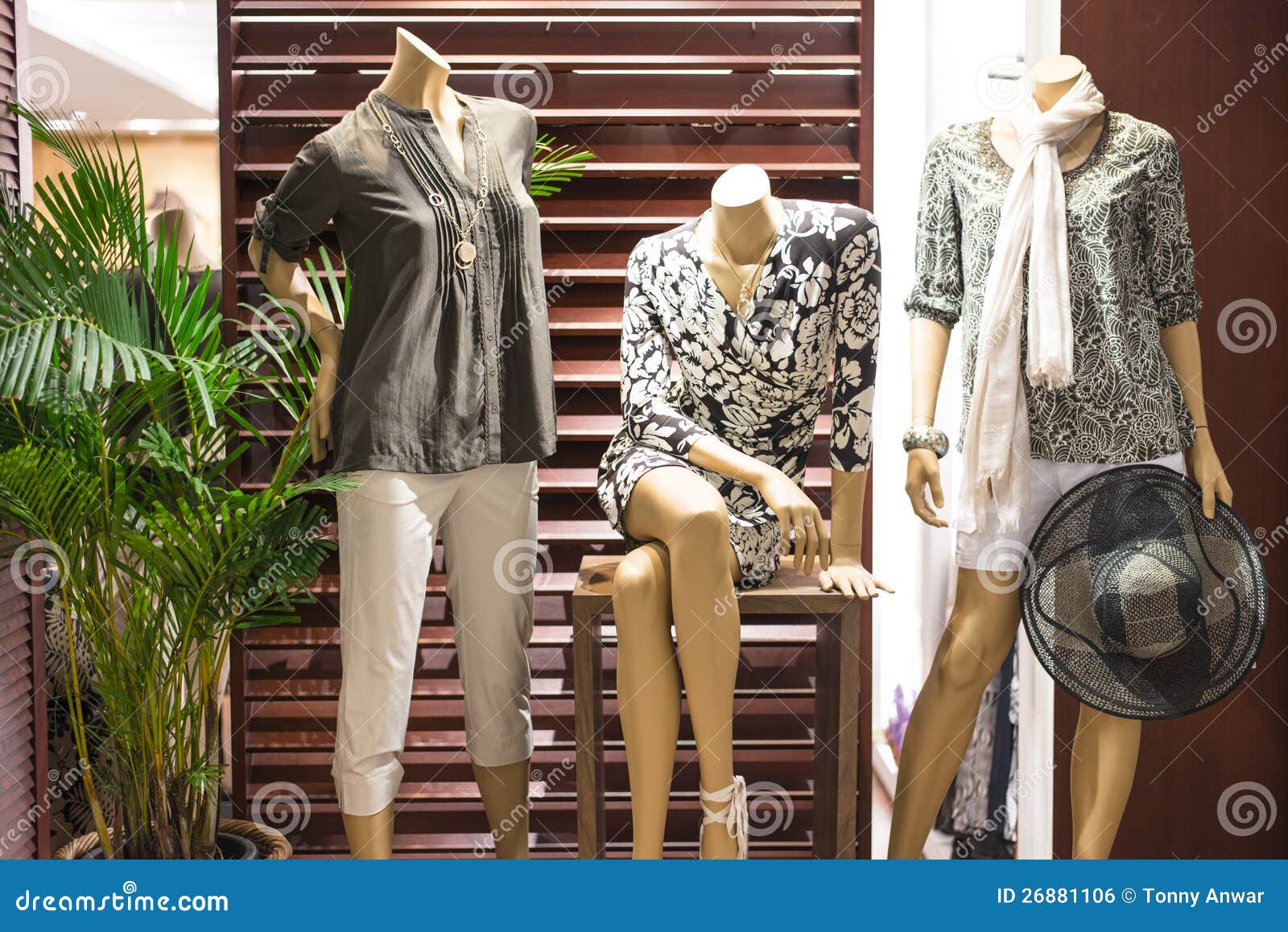 Fashion Mannequin Display stock photo. Image of mannequin 26881106