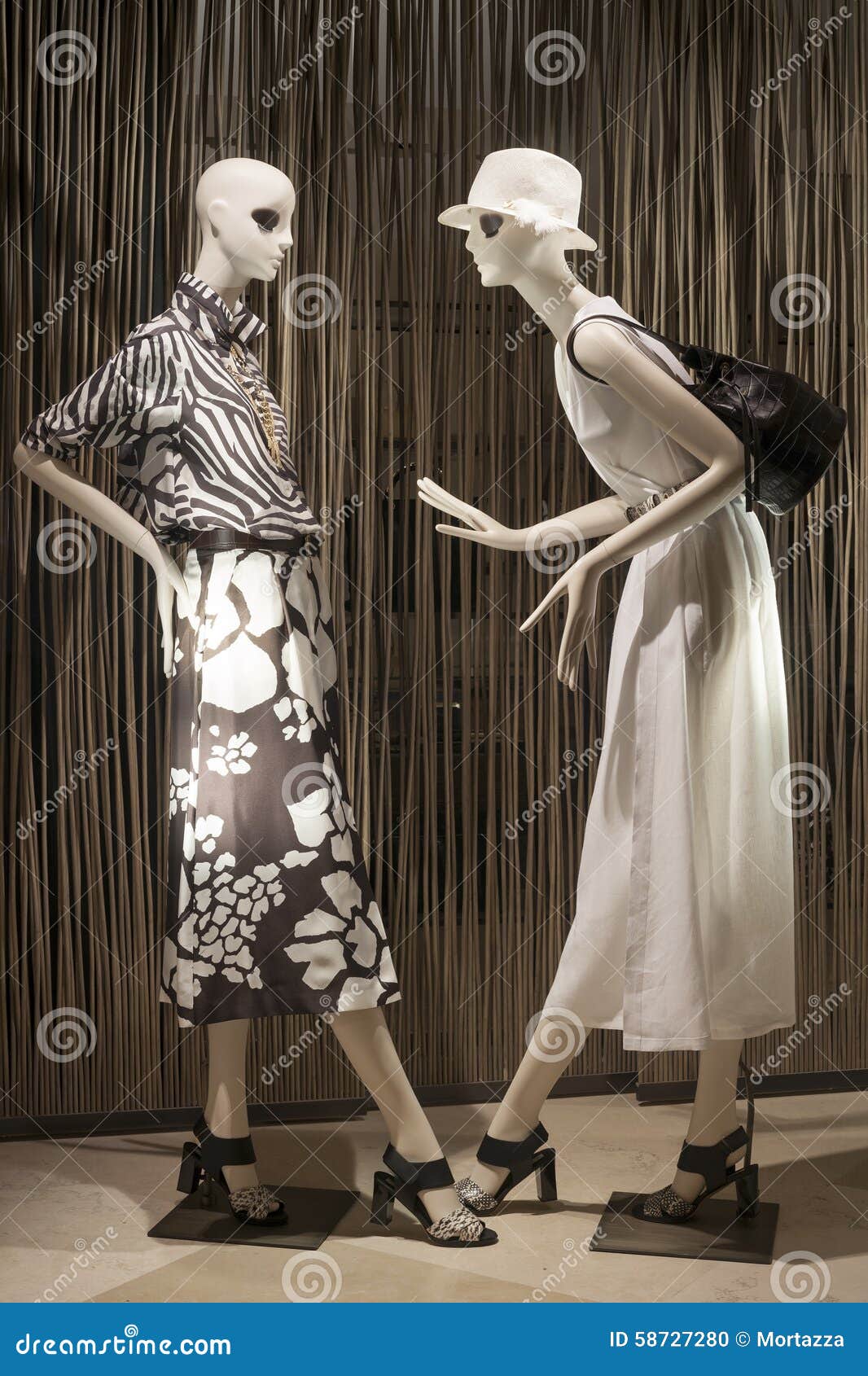 Fashion Mannequin Showcase Display Shopping Retail Stock Photo - Image ...