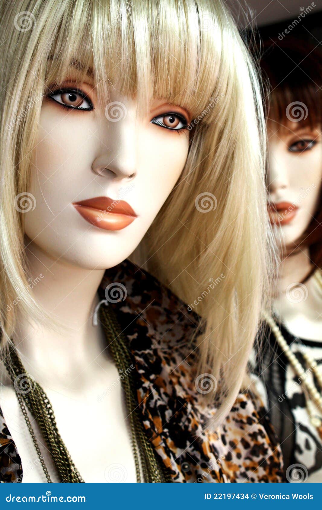 Fashion Mannequins Stock Photo Image Of Dresses Front 22197434 fashion-mannequins-stock-photo-image-of-dresses-front-22197434