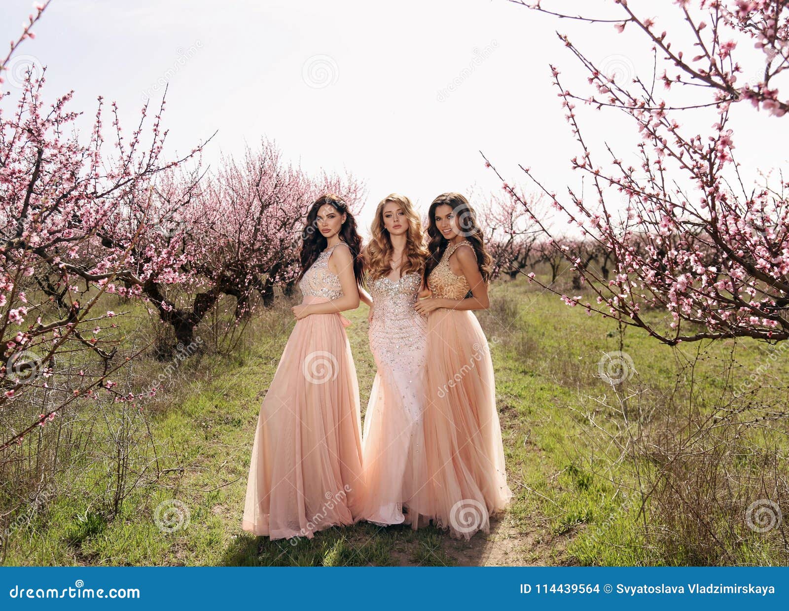 beautiful women in luxurious dresses posing among flowering peach trees