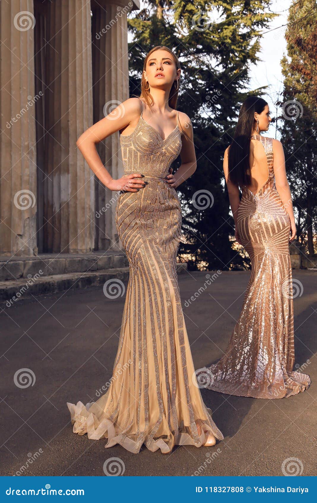 Beautiful Young Women with Dark Hair in Luxurious Evening Dresses Stock  Photo - Image of beautiful, accessory: 118327808