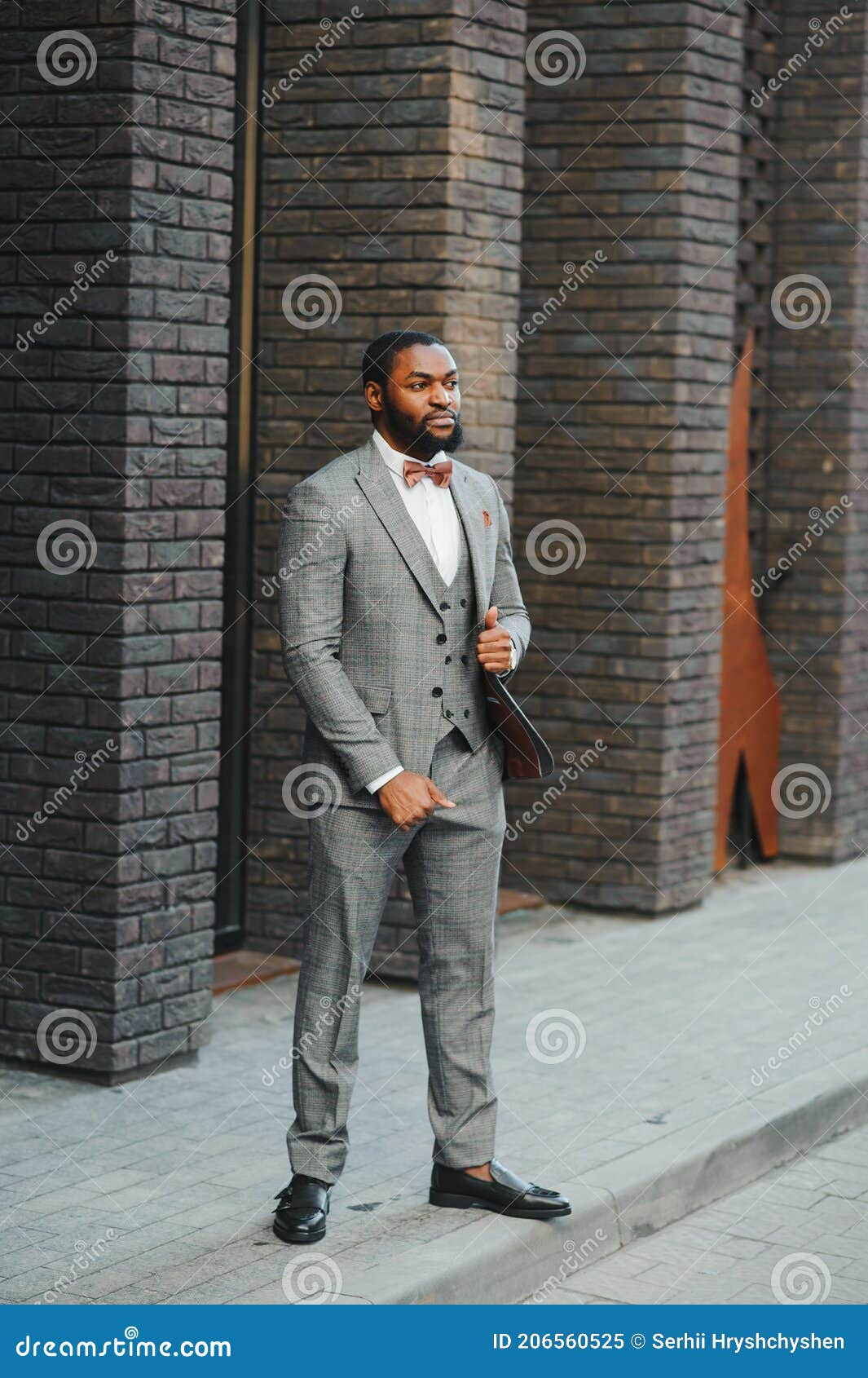 Fashion Portrait of a Handsome Young African American Business Man ...