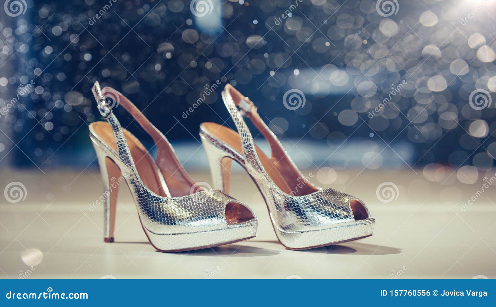 Womens Party Wear Muse Heel – SHOENEEDS