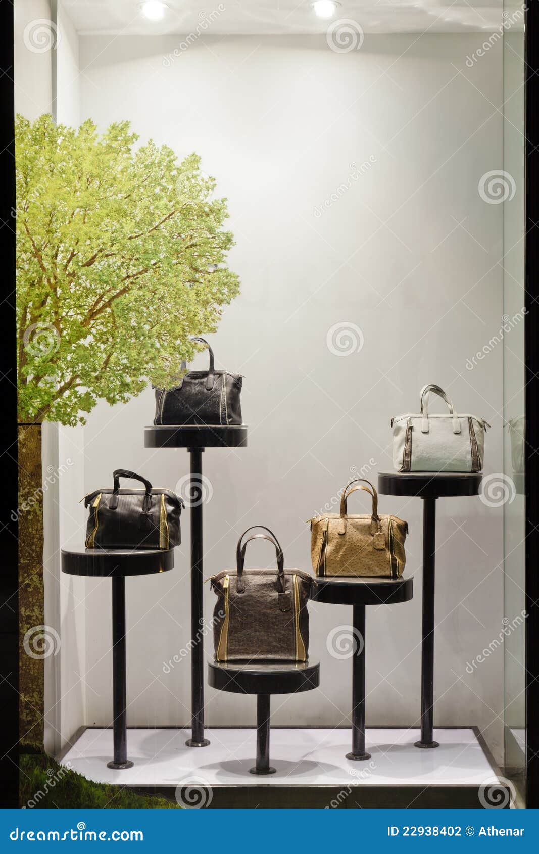 Fashion showcase stock photo. Image of light, girl, mannequin 22938402