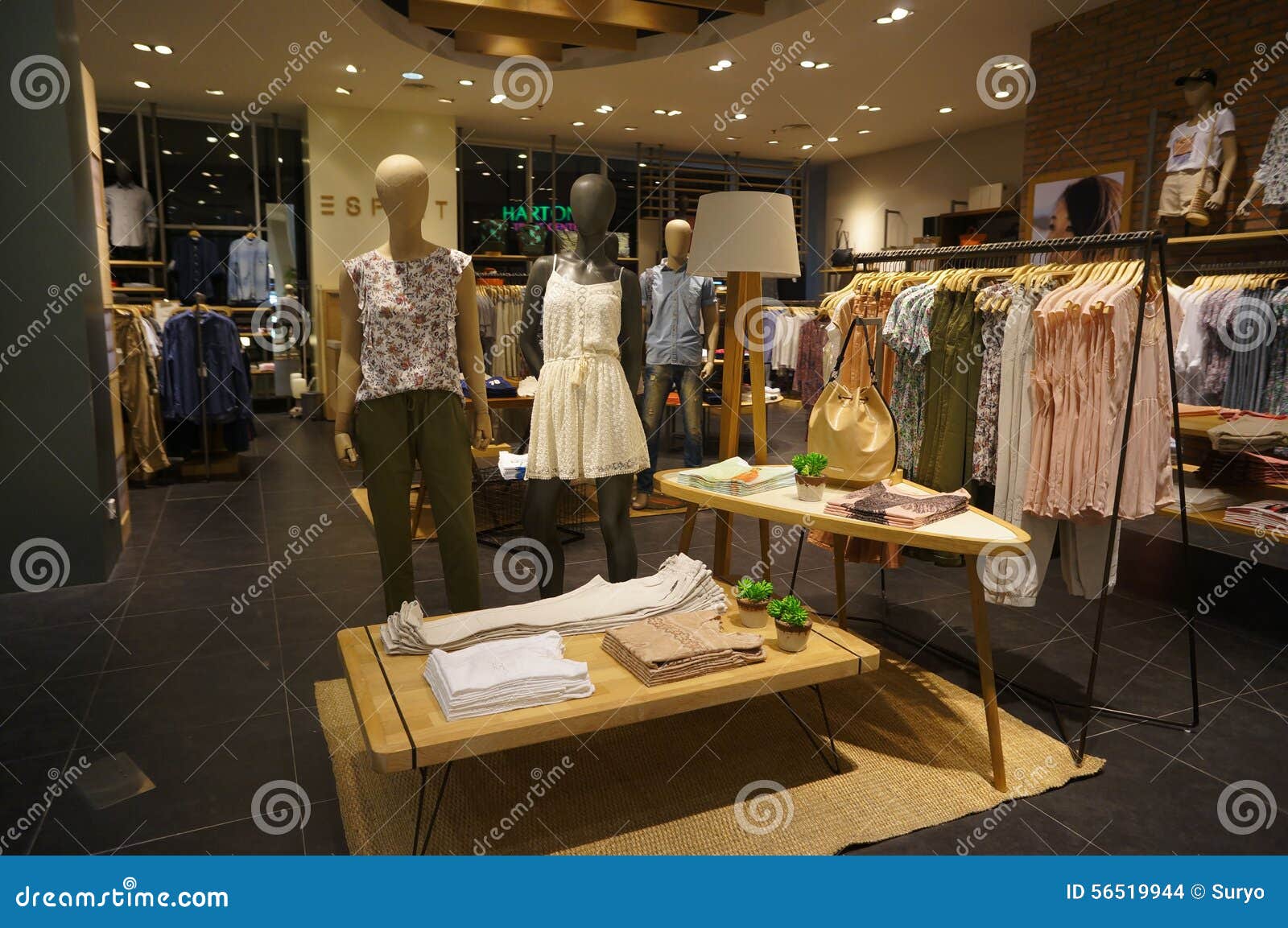 Fashion store editorial stock image. Image of display - 56519944