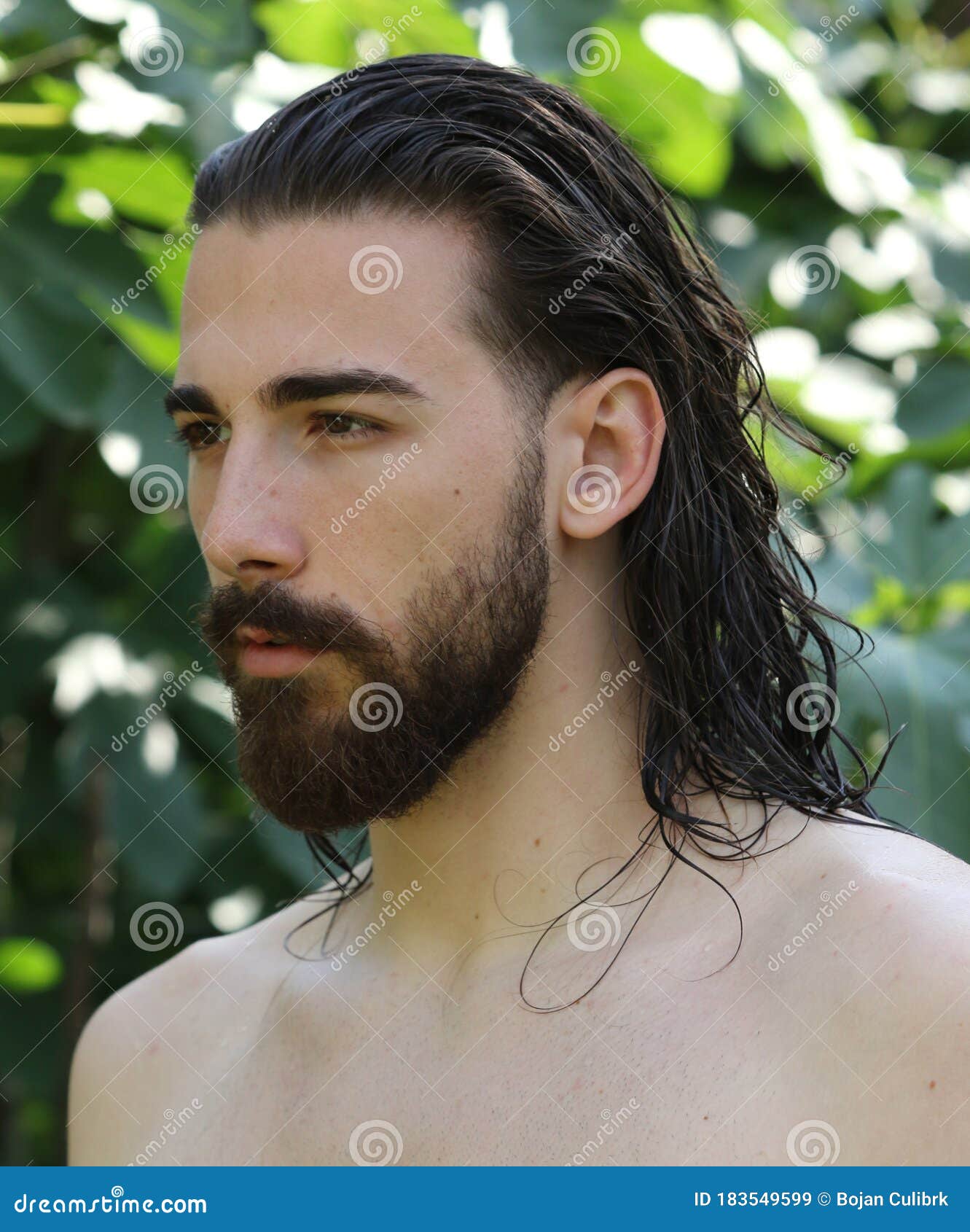 Young, Attractive Male Model with Long Hair and Beard Posing in Nature.  Stock Image - Image of body, confidence: 183549599