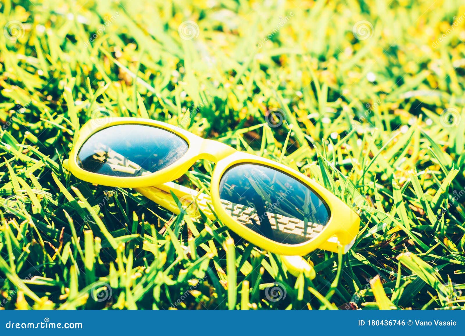 Fashion Sunglasses on Grass Stock Photo - Image of leisure, lying ...