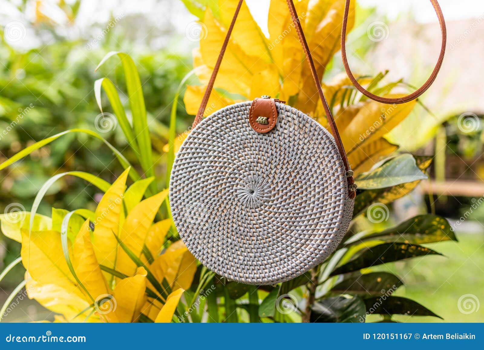 Fashionable Stylish Rattan Bag in the Tropical Garden. Tropical Island ...