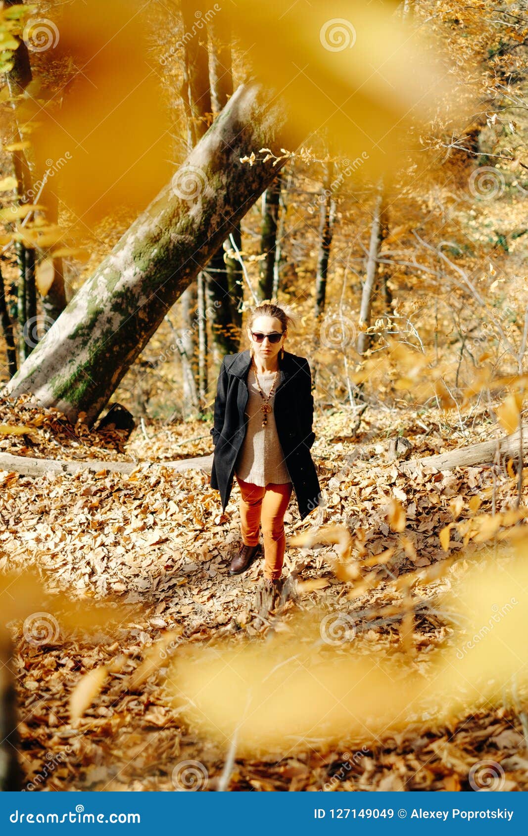 Fashionable Woman Walking in Autumn Park. Stock Image - Image of yellow ...