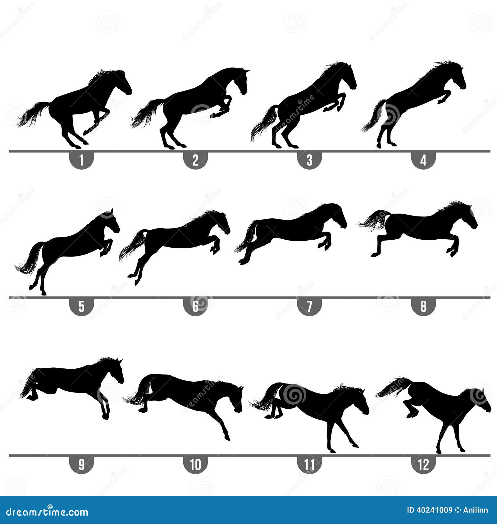 Неспешный бег 5 букв. Прыжок лошади по кадрам. Бегущая лошадь по кадрам. Фазы скачущей лошади. Движение лошади по кадрам.