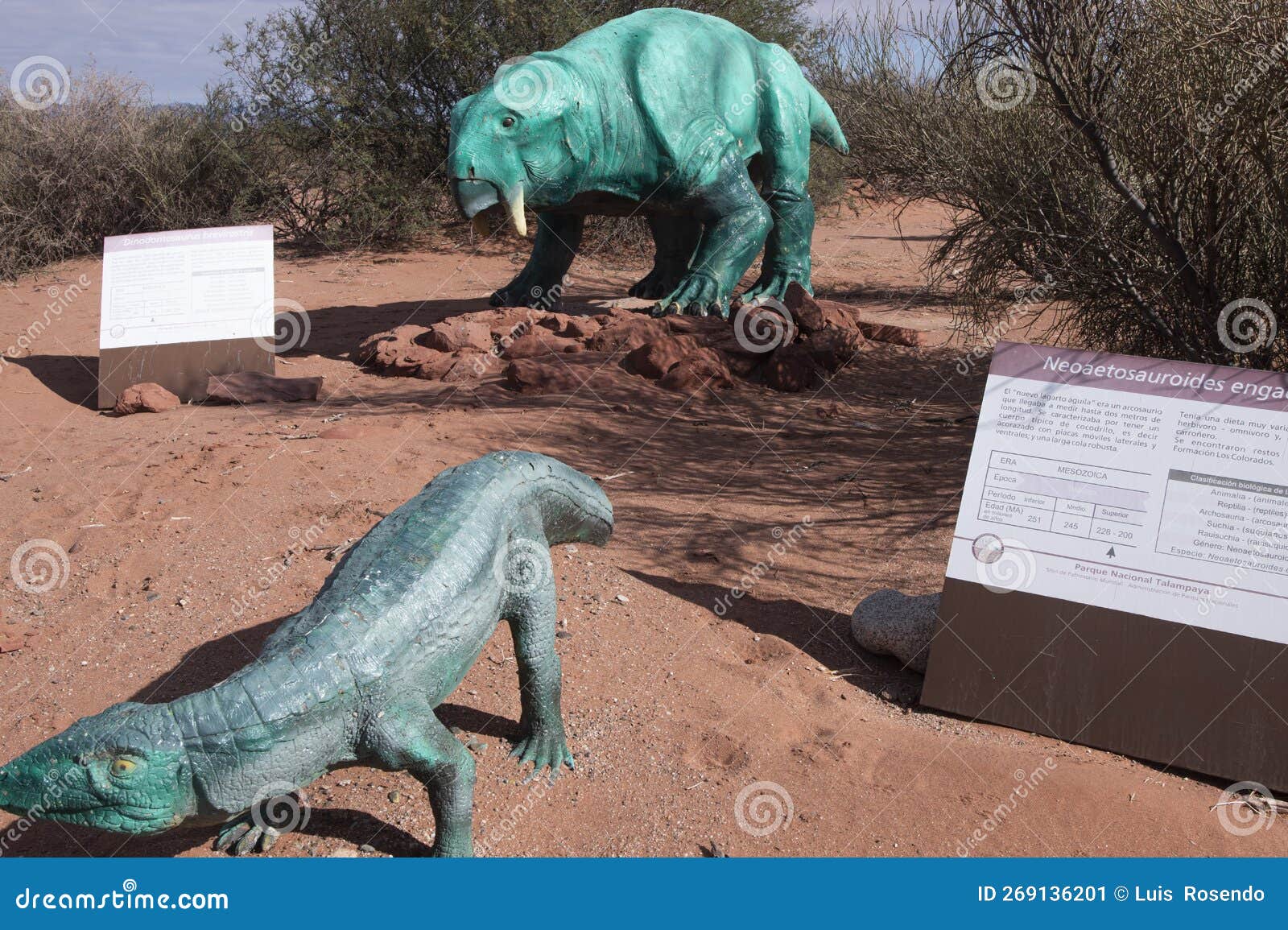 fasolasuchus is an extinct genus of loricatan dinosaurs. fossils have been found in the los colorados