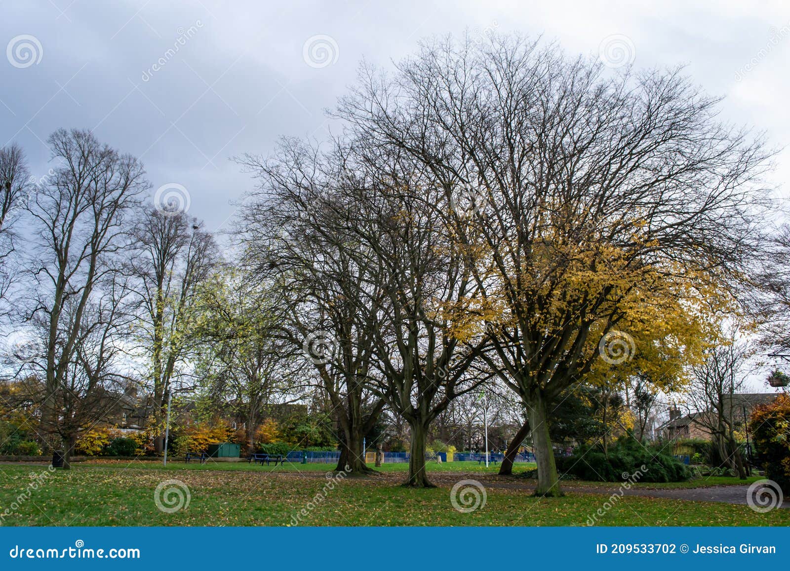 fassnidge park during autumn in uxbridge, england
