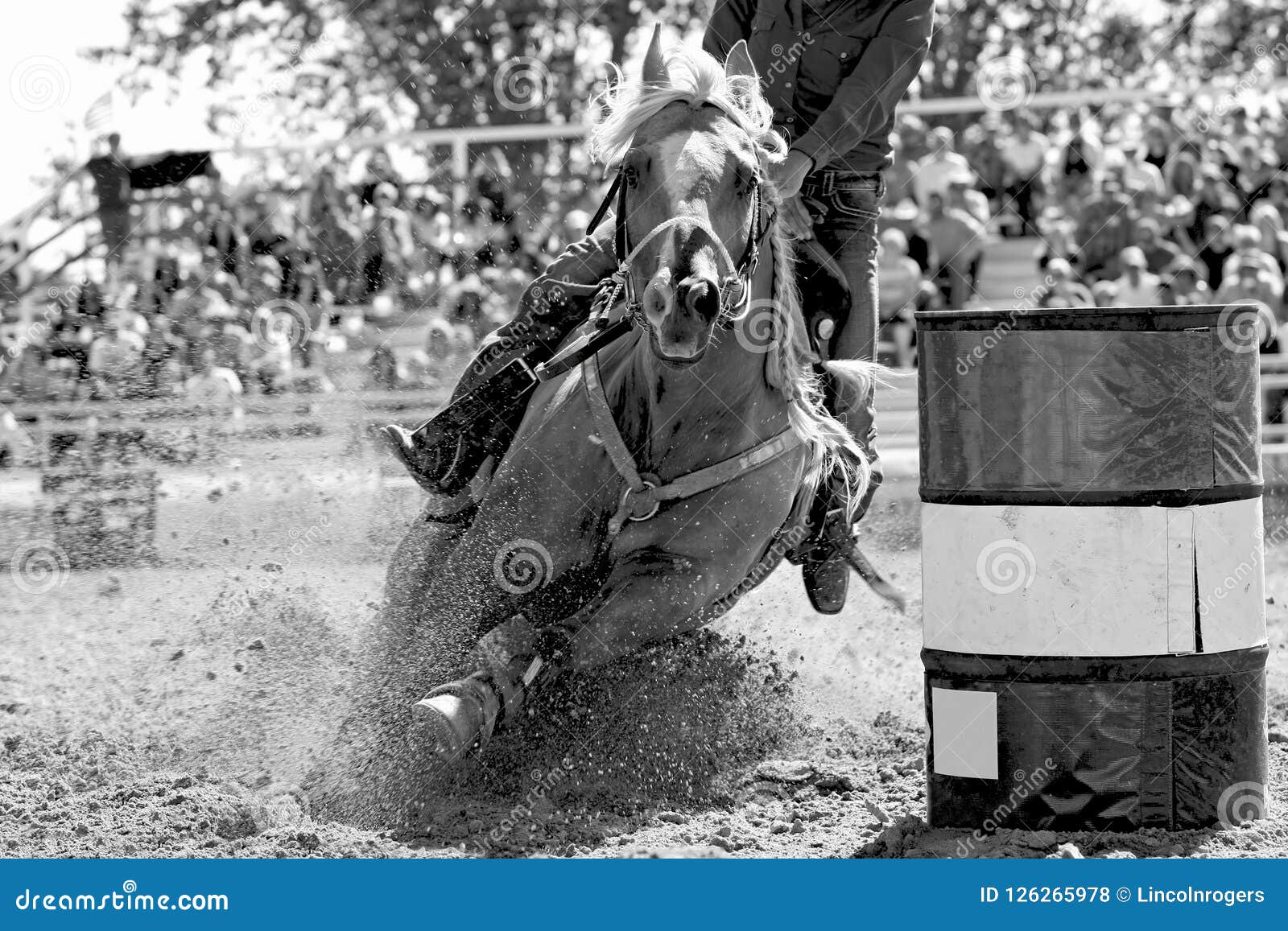 fast barrel racing turn - b&w