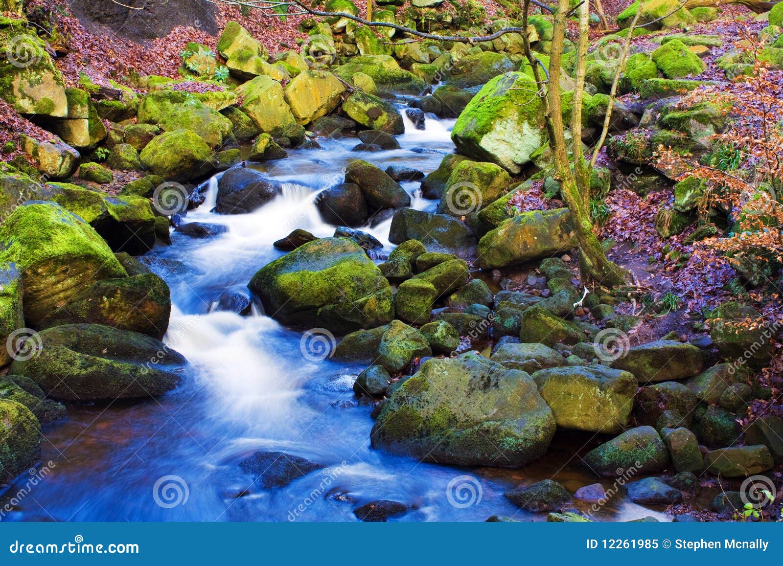 fast flowing brook