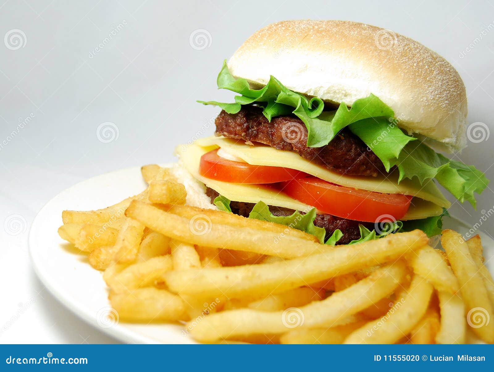 Fast Food Stock Photo Image Of Bread Restaurant Tomatoes 11555020 food-comparison-chart-infographic-testing