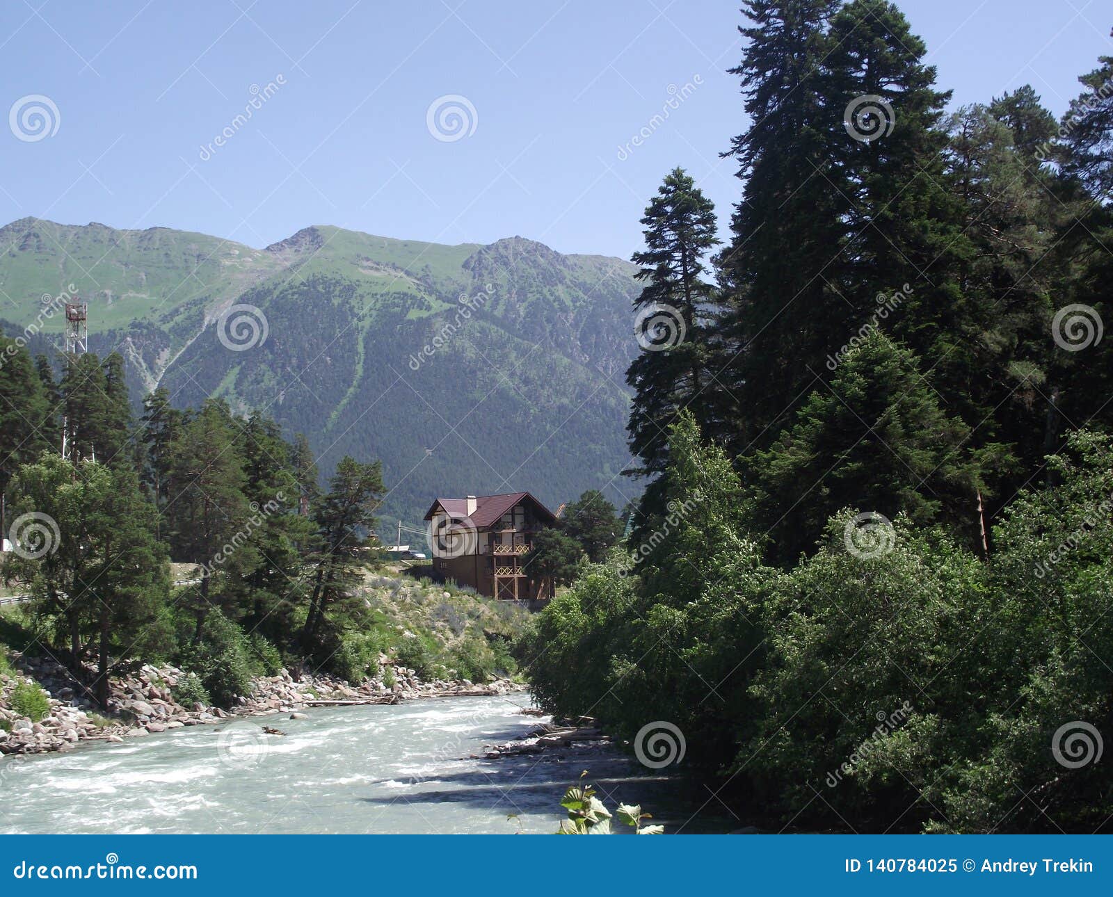 mountain river in the summer sunny day