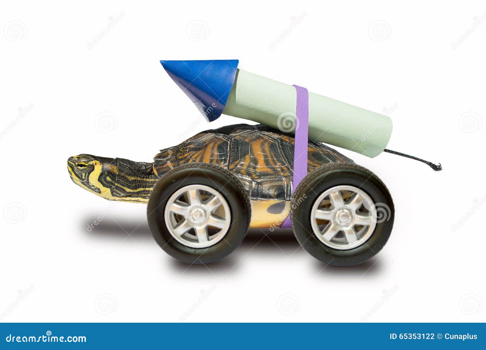 Fast Turtle Stock Photo Image Of Fast Ecstatic Background 65353122