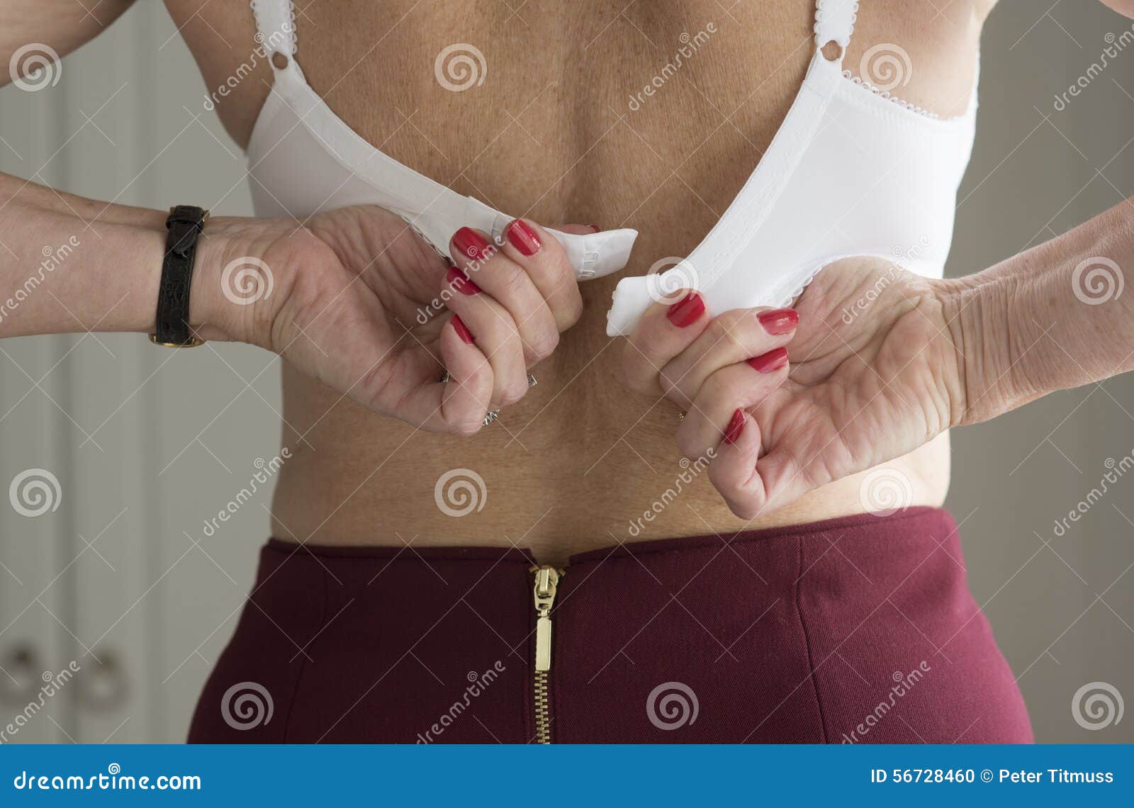 Fastening a woman s bra stock photo. Image of dressing - 56728460