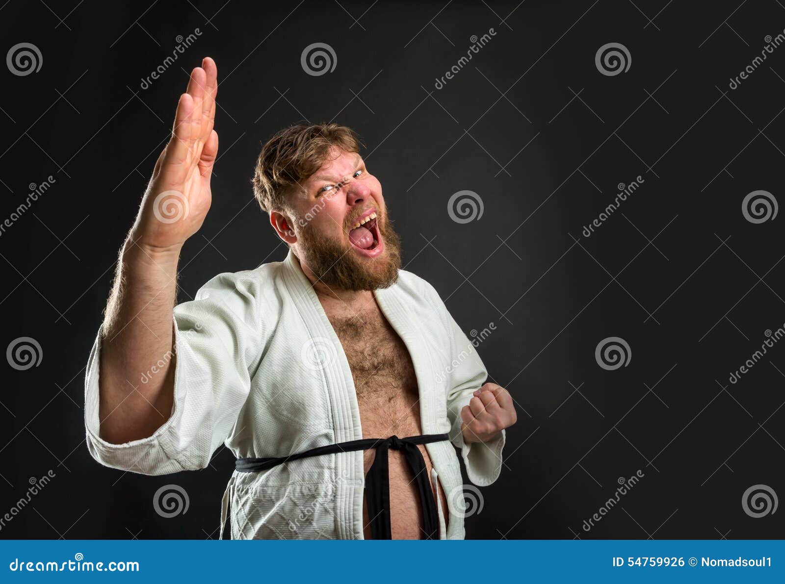 Fat karate fighter stock photo. Image of kata, attack 54759926