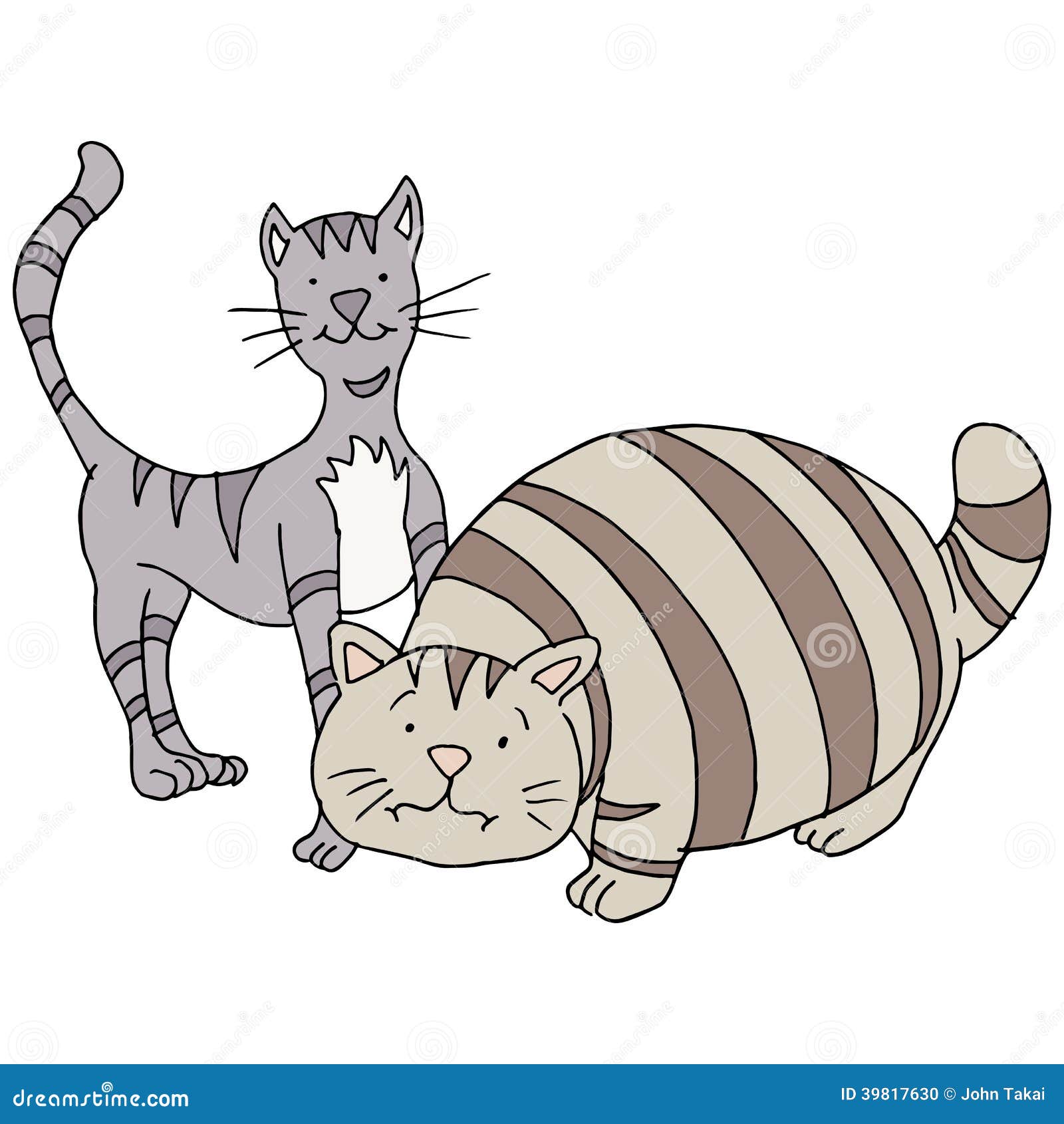 Fat  And Skinny Cats  stock vector Illustration of clip 