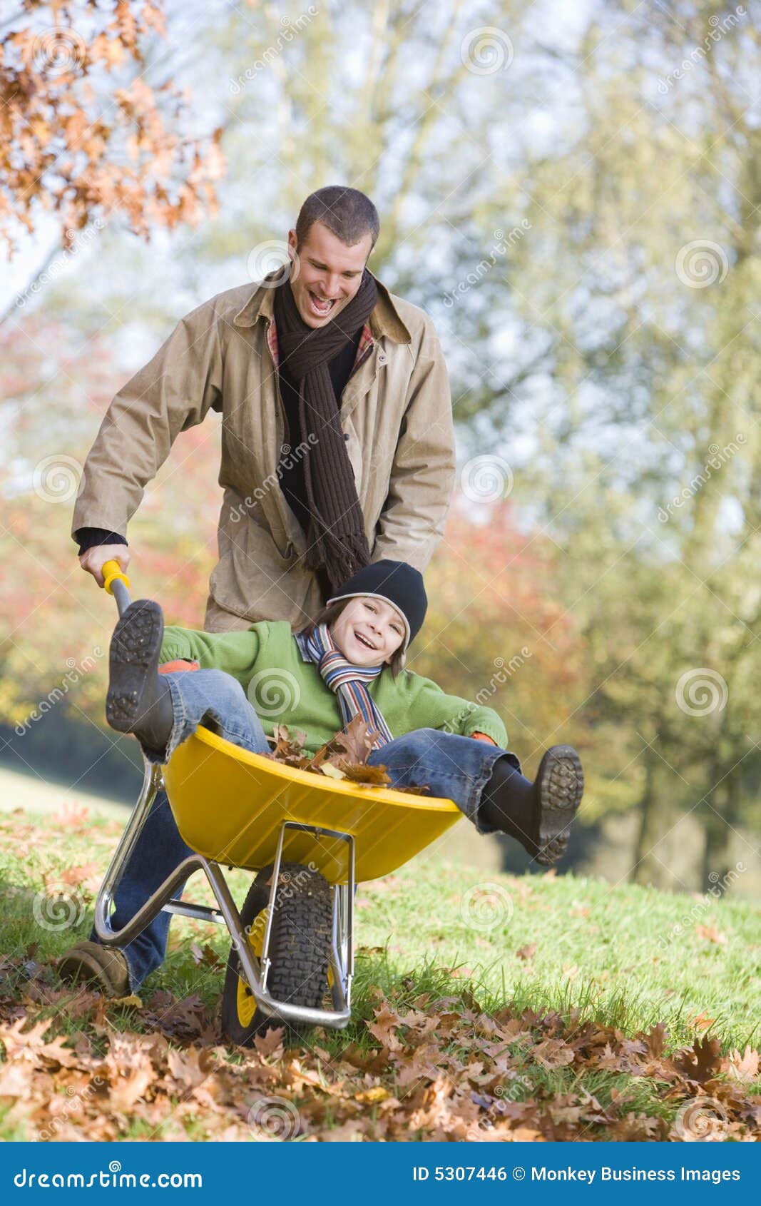 Father Giving Son Ride in Wheelbarrow Stock Photo Image of autumn