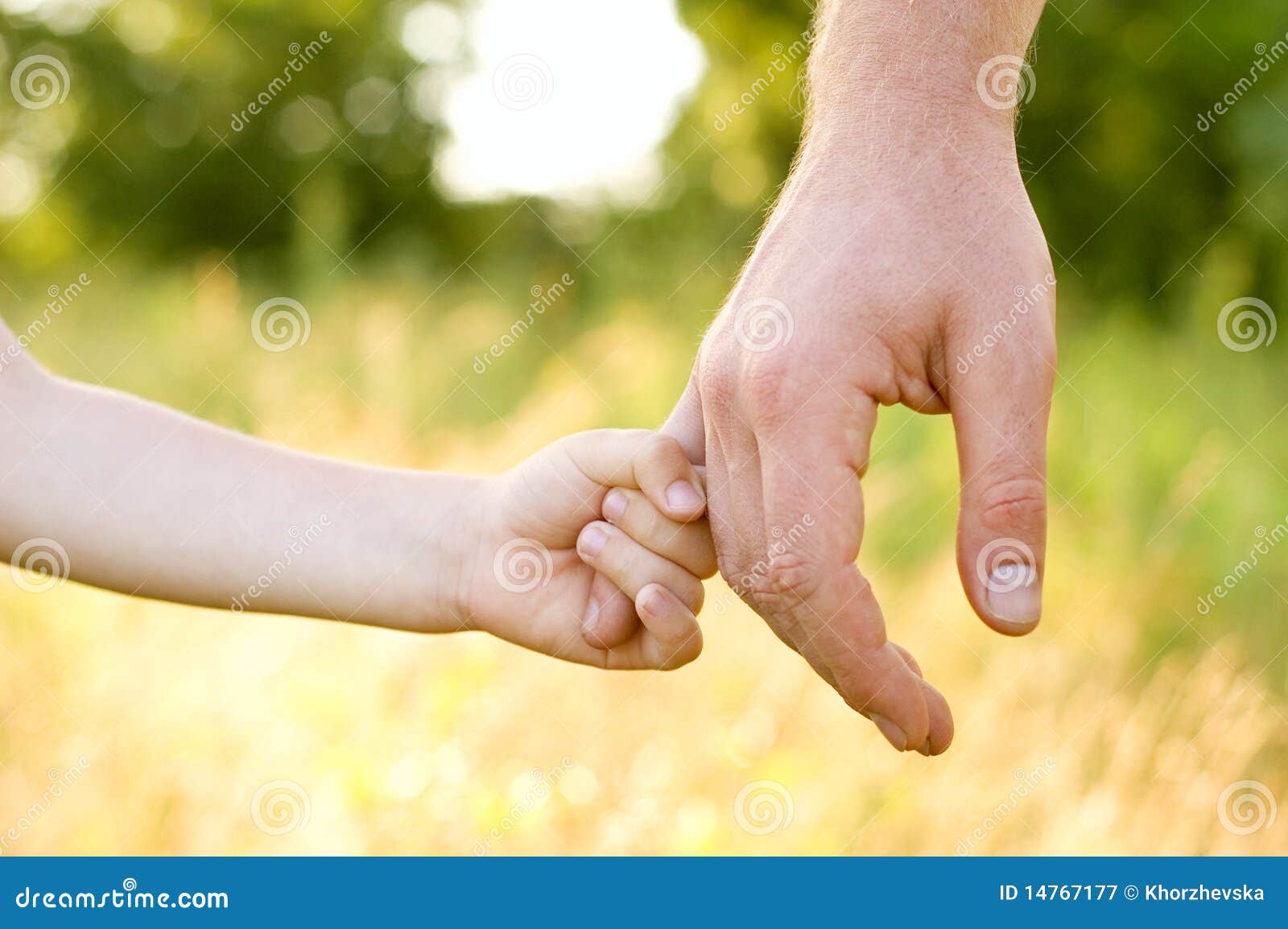 Father Lead by the Hand Son Stock Image Image of nature, life 14767177