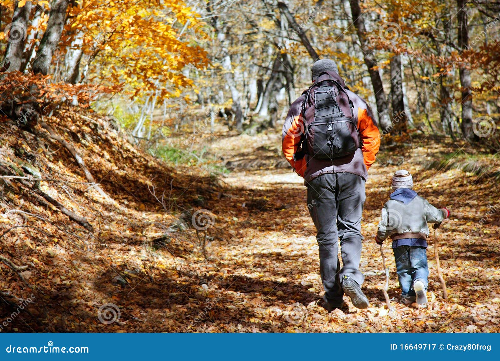 Father and son hiking in forest. Looking at map Stock Photo - Alamy