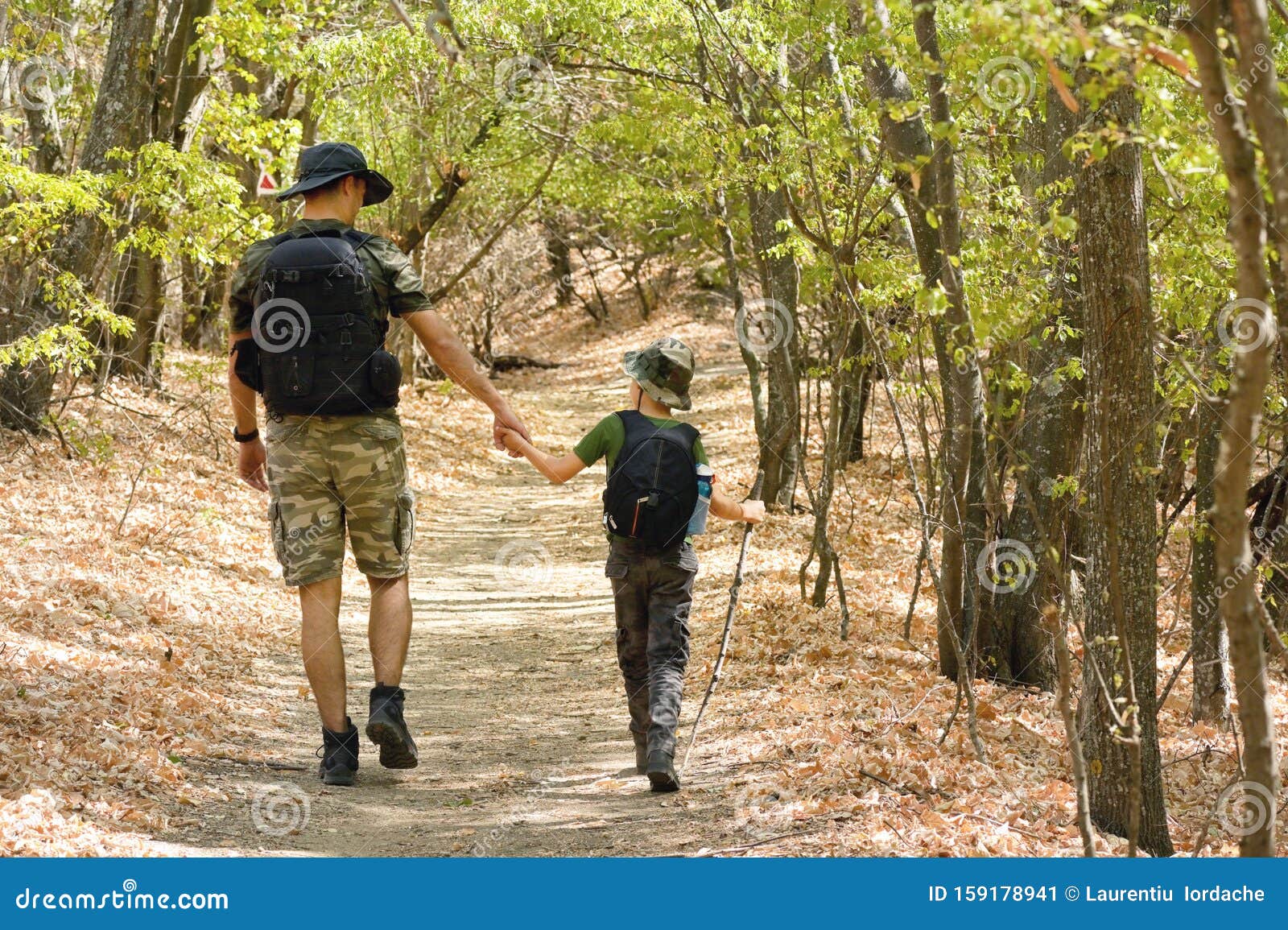 Father and son hiking in forest. Looking at map Stock Photo - Alamy