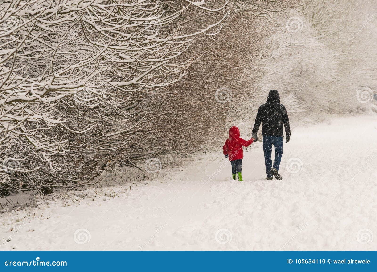 Father Walks With His Little Daughter In Forest Park During A Heavy