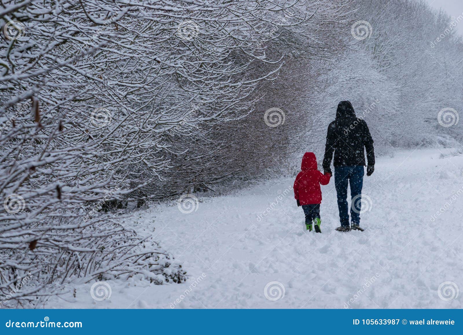 Father Walks With His Little Daughter In Forest Park During A Heavy