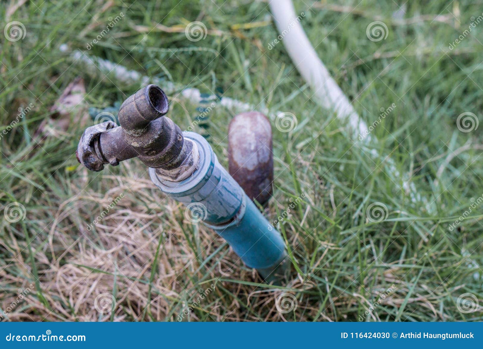 Water Faucet With Grass At Outdoor House Stock Photo Image Of